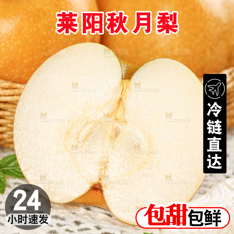 浅底上的秋月梨