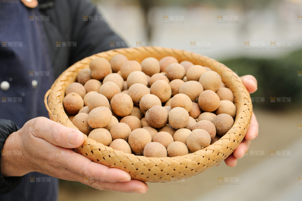手里拿着龙眼