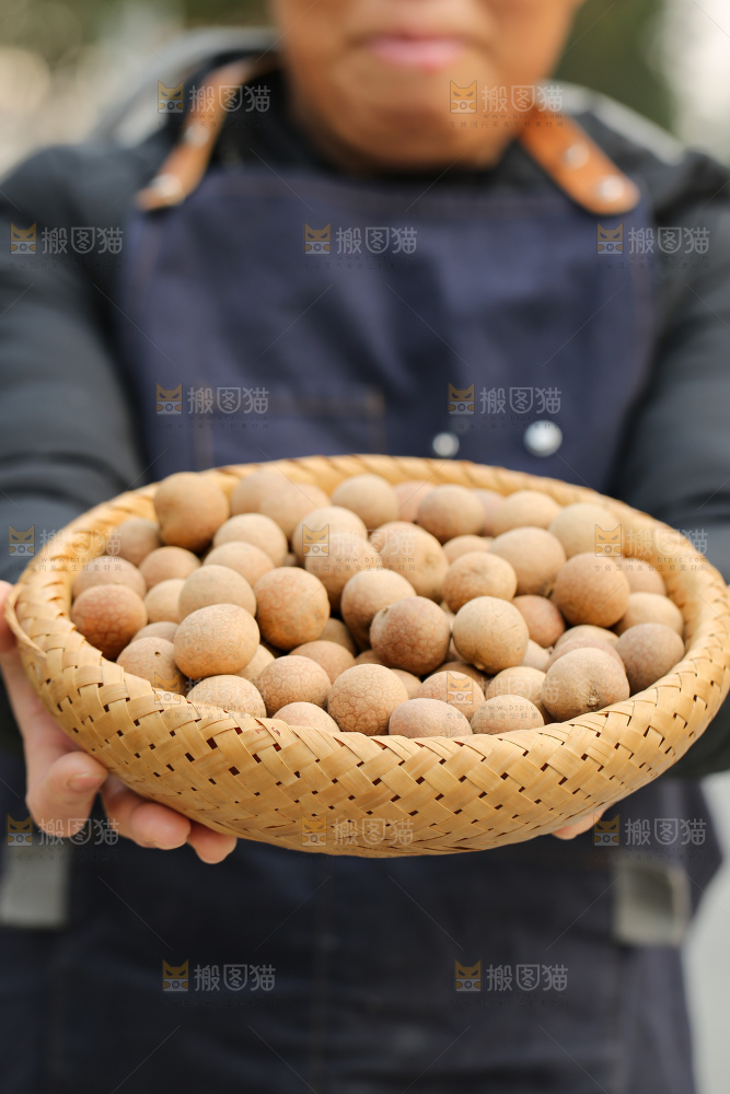 手里拿着龙眼
