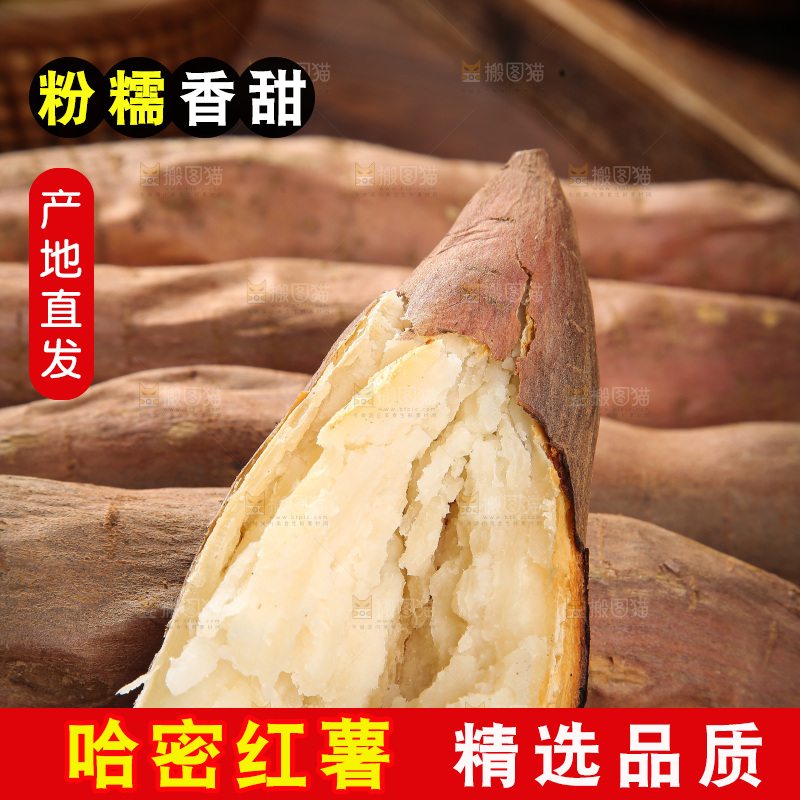 木底上的白心哈密冰糖薯