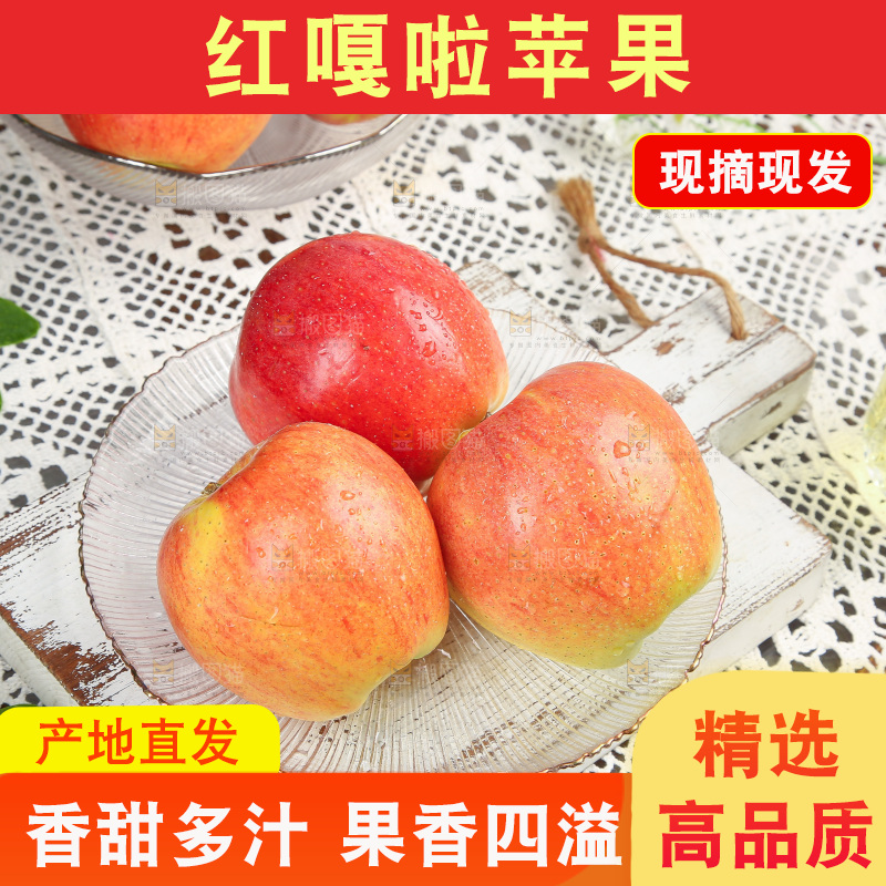 浅底上的嘎啦果