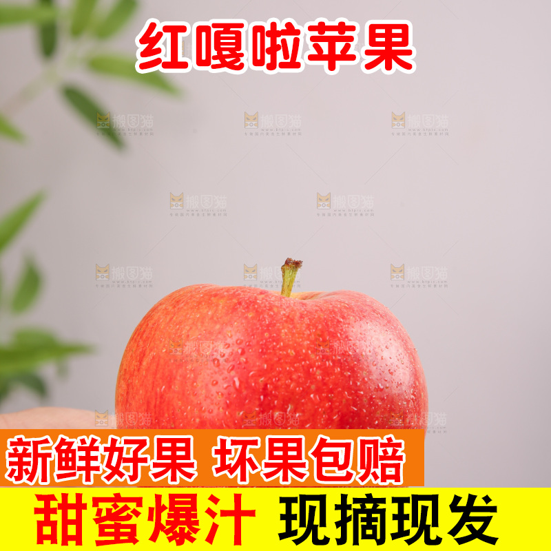 浅底上的嘎啦果
