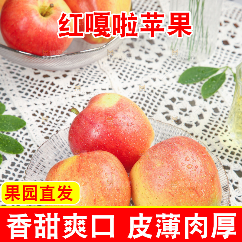 浅底上的嘎啦果