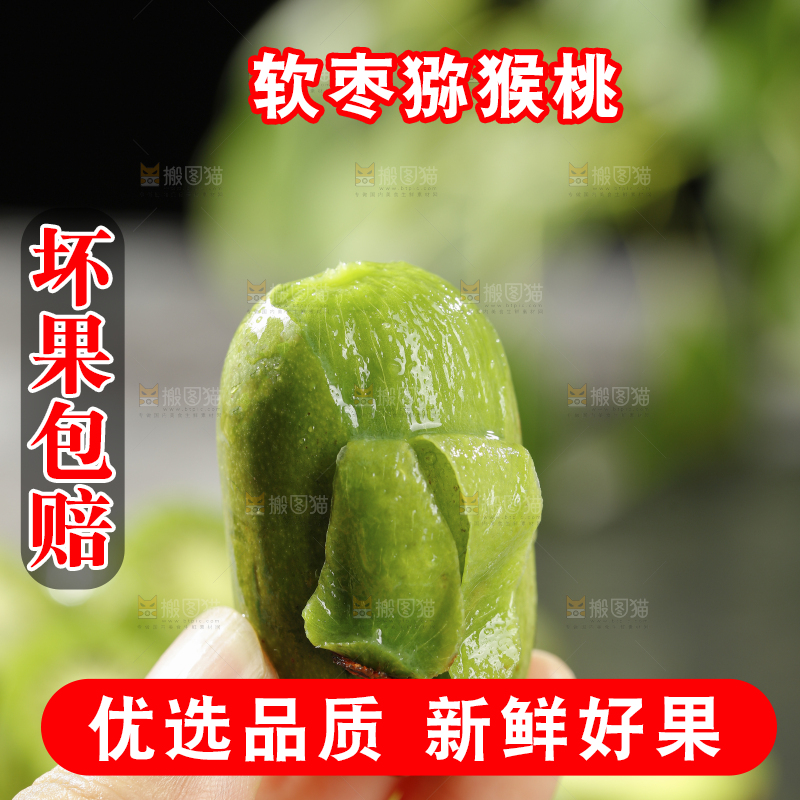 深底上的软枣猕猴桃