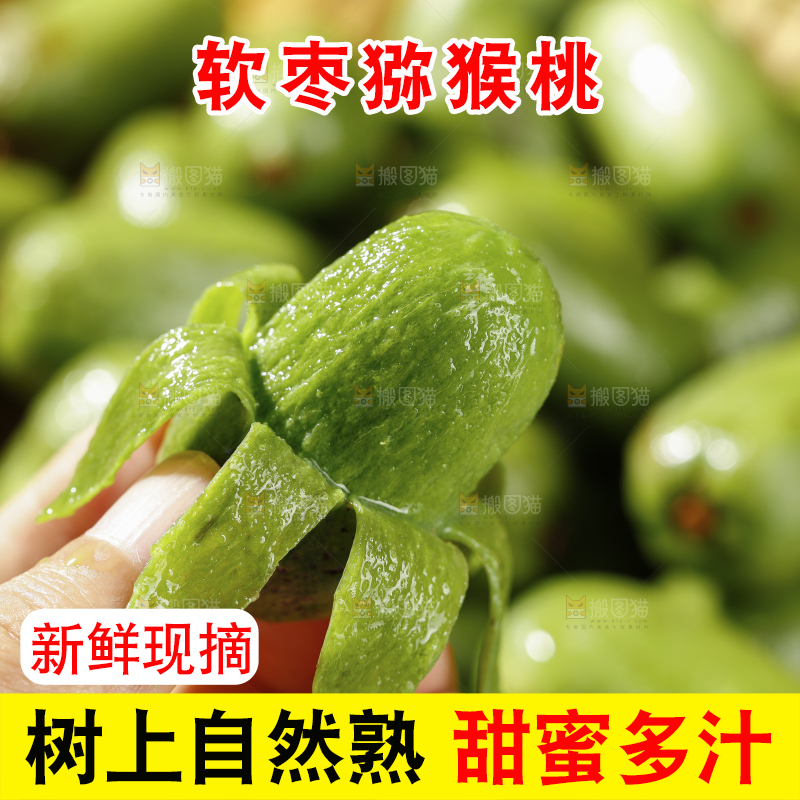 深底上的软枣猕猴桃