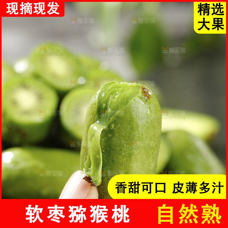 深底上的软枣猕猴桃