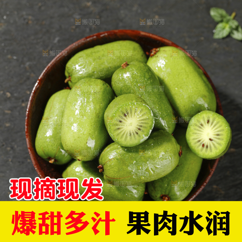 深底上的软枣猕猴桃