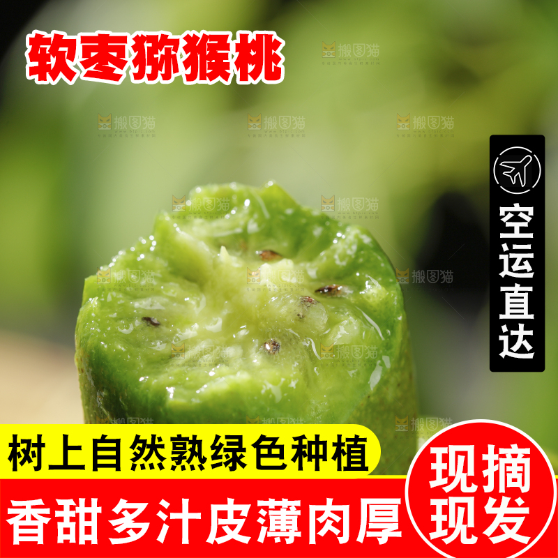深底上的软枣猕猴桃