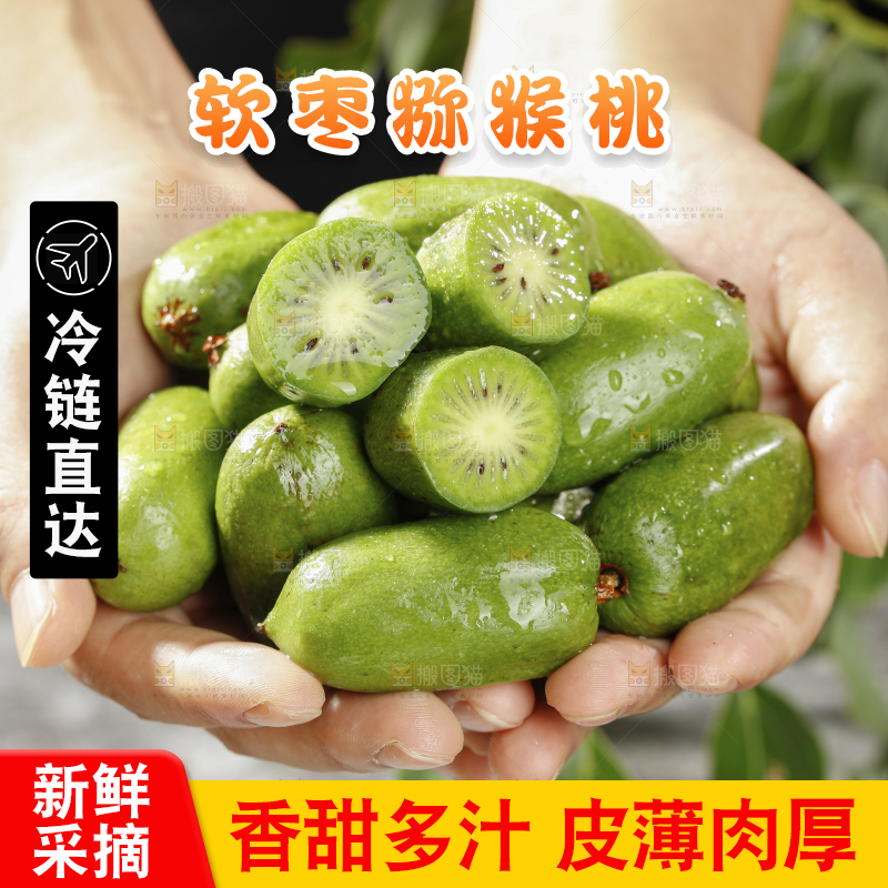 深底上的软枣猕猴桃
