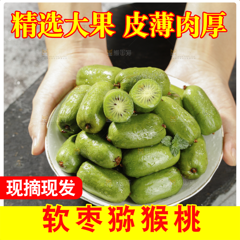 深底上的软枣猕猴桃