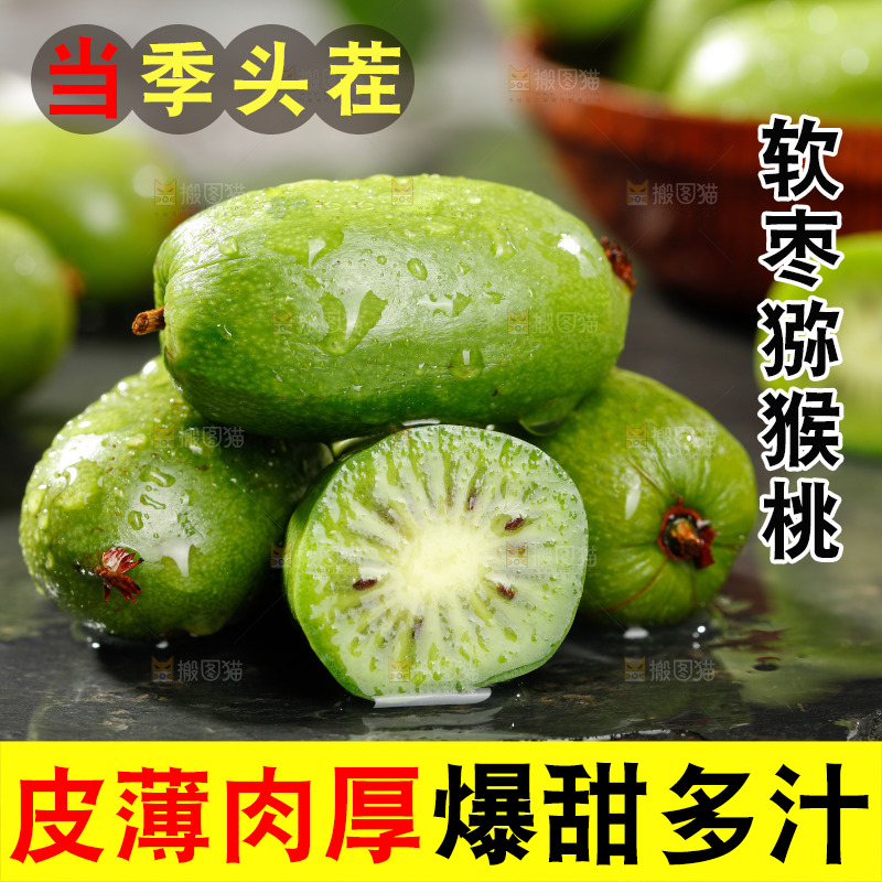 深底上的软枣猕猴桃