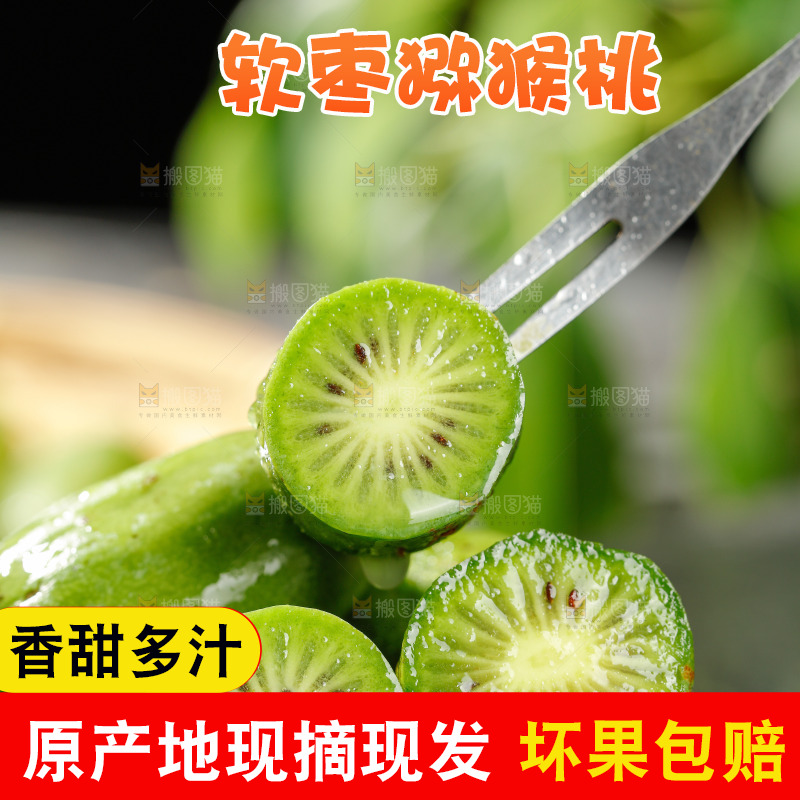 深底上的软枣猕猴桃