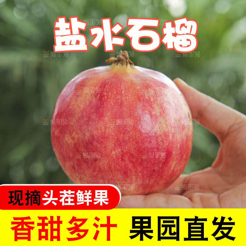 手里拿着会泽盐水石榴