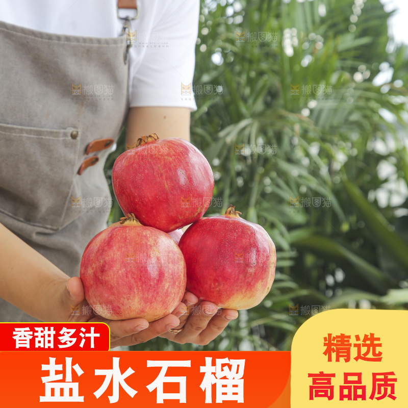 手里拿着会泽盐水石榴
