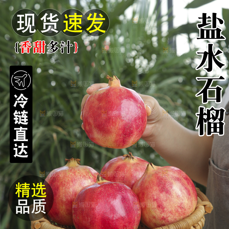 手里拿着会泽盐水石榴