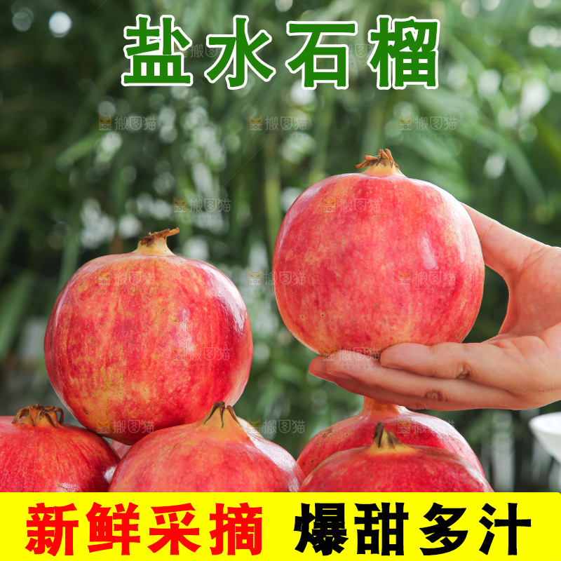 浅底上的会泽盐水石榴