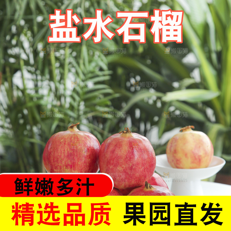 浅底上的会泽盐水石榴