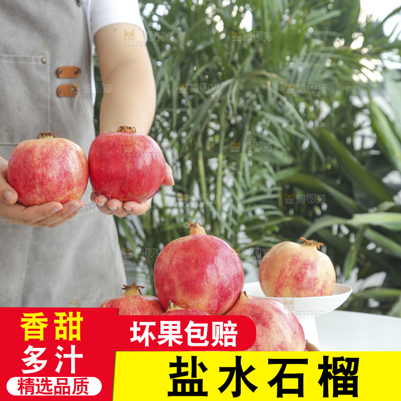 手里拿着会泽盐水石榴