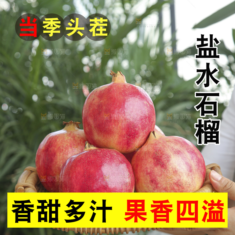 手里拿着会泽盐水石榴