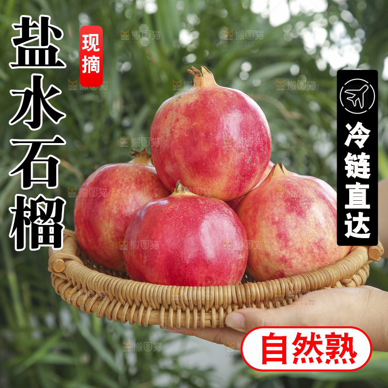 手里拿着会泽盐水石榴