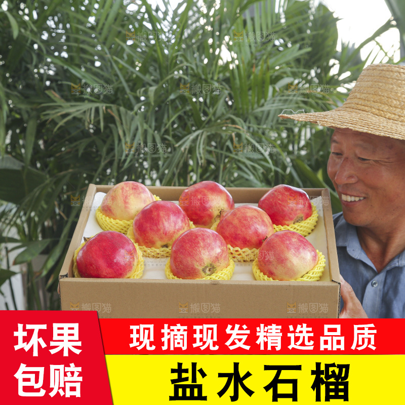 手里拿着一箱盐水石榴
