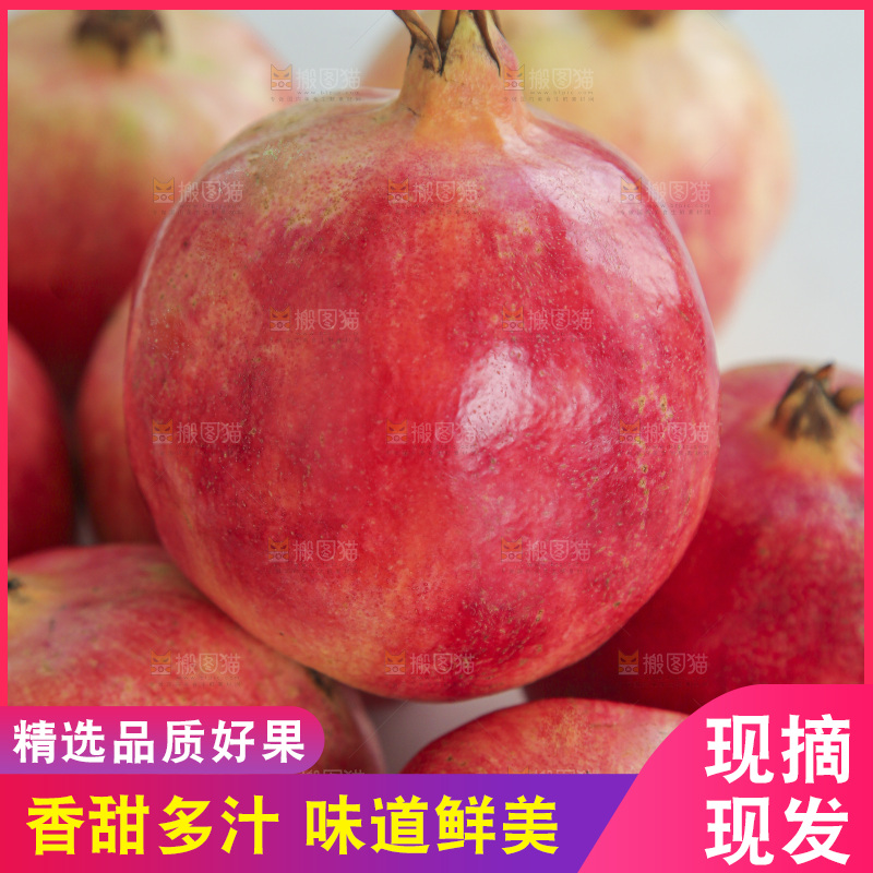 浅底上的会泽盐水石榴