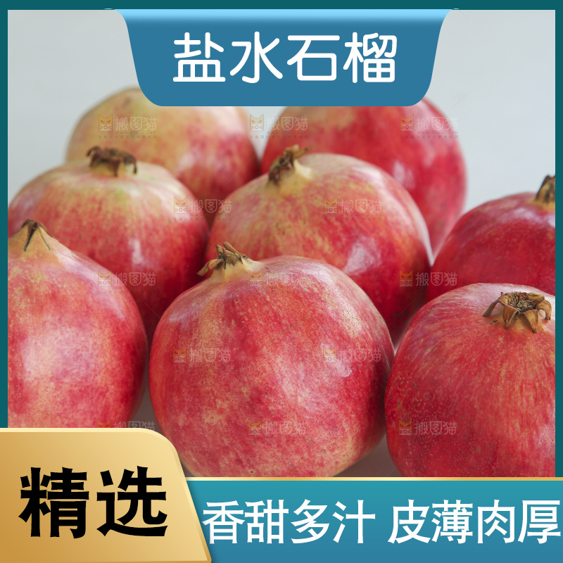 浅底上的会泽盐水石榴