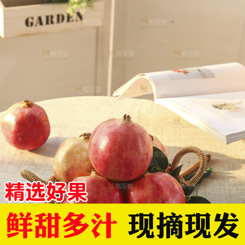 浅底上的盐水石榴