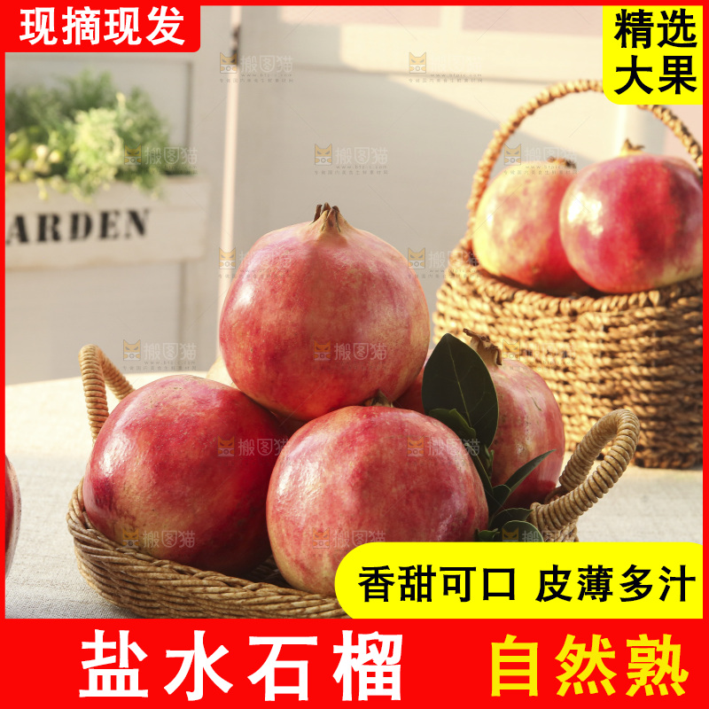浅底上的盐水石榴