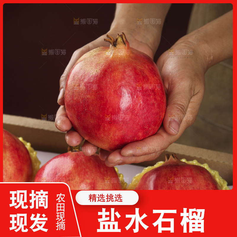 深底上的盐水石榴
