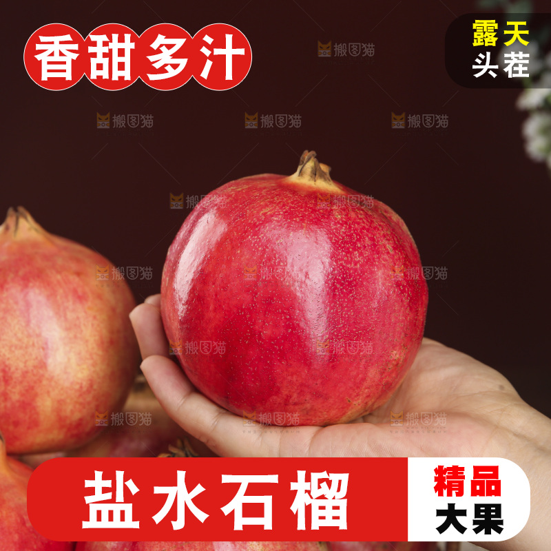 深底上的盐水石榴