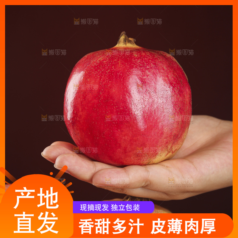 深底上的盐水石榴