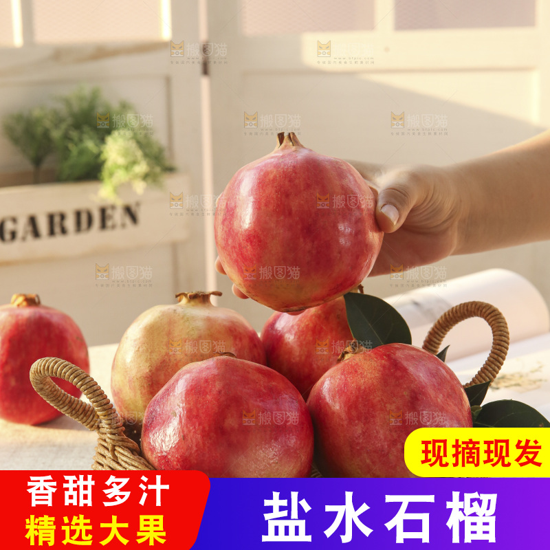 浅底上的盐水石榴