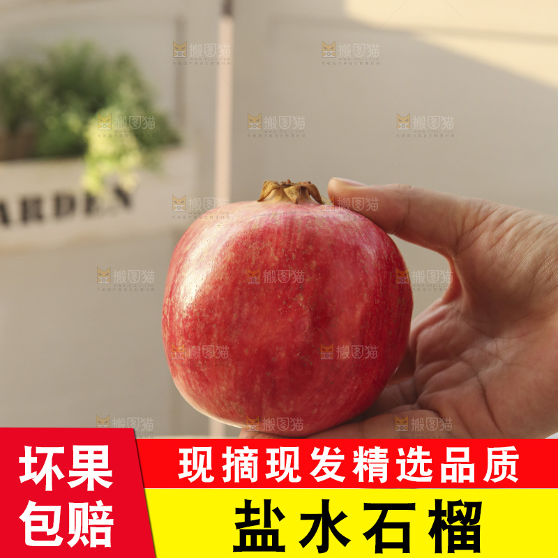浅底上的盐水石榴