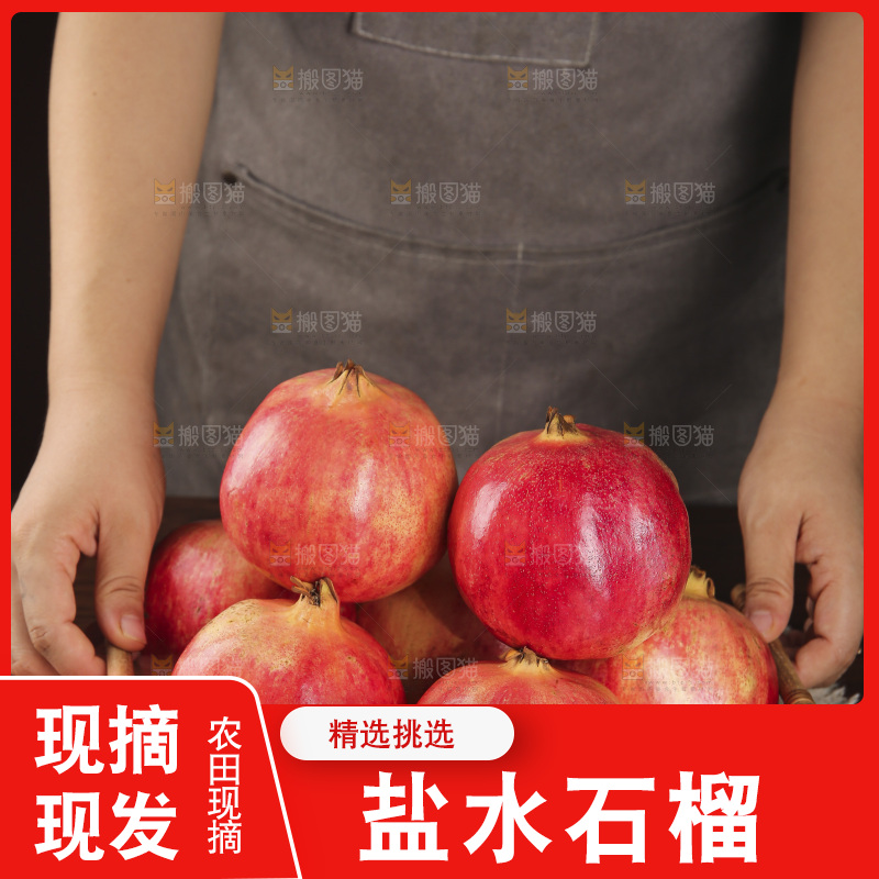 深底上的盐水石榴