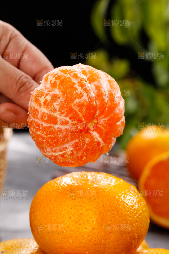 深底上的宜昌蜜桔