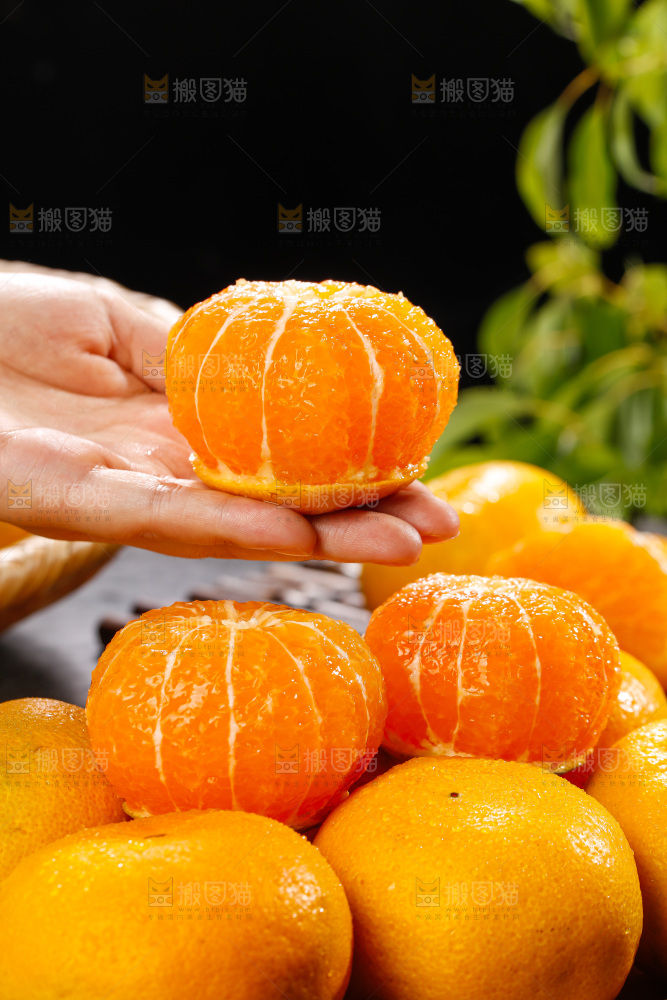 深底上的宜昌蜜桔