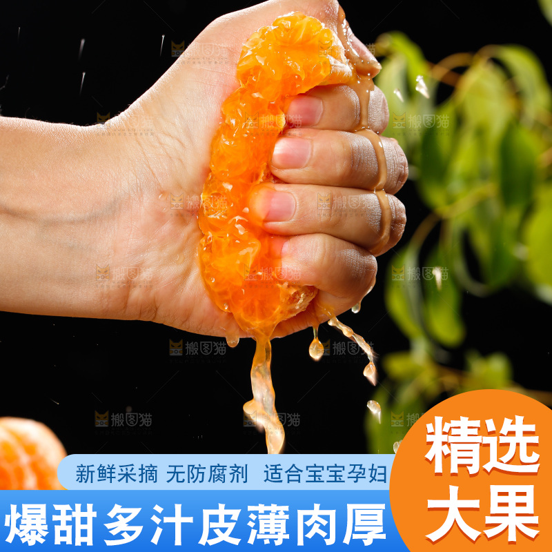 深底上的宜昌蜜桔