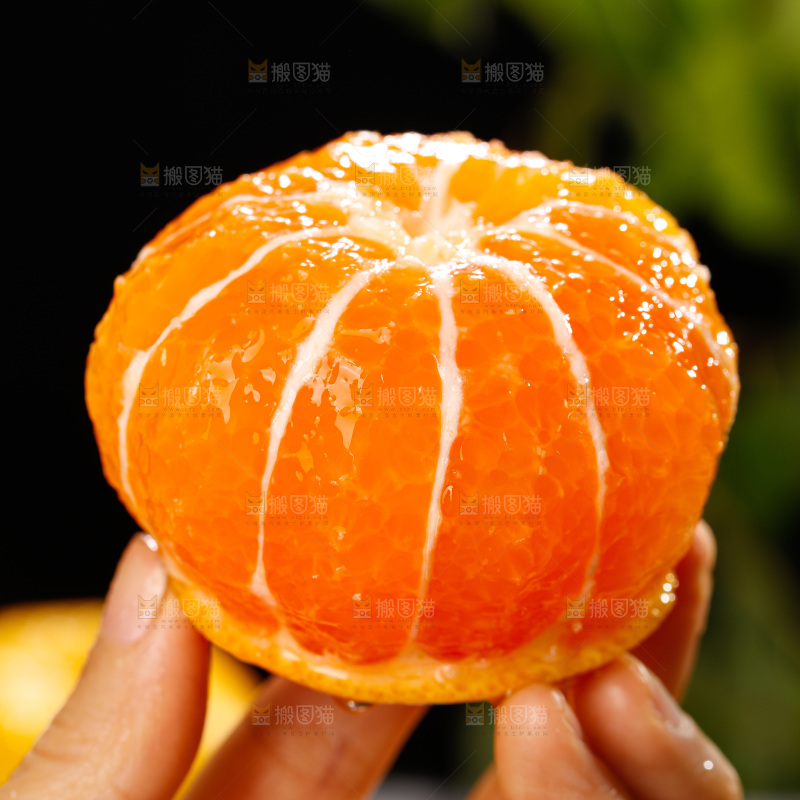 深底上的宜昌蜜桔