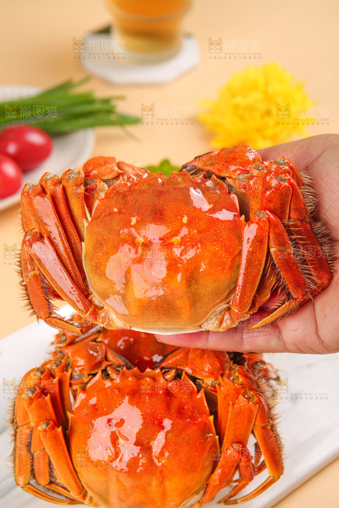 大闸蟹