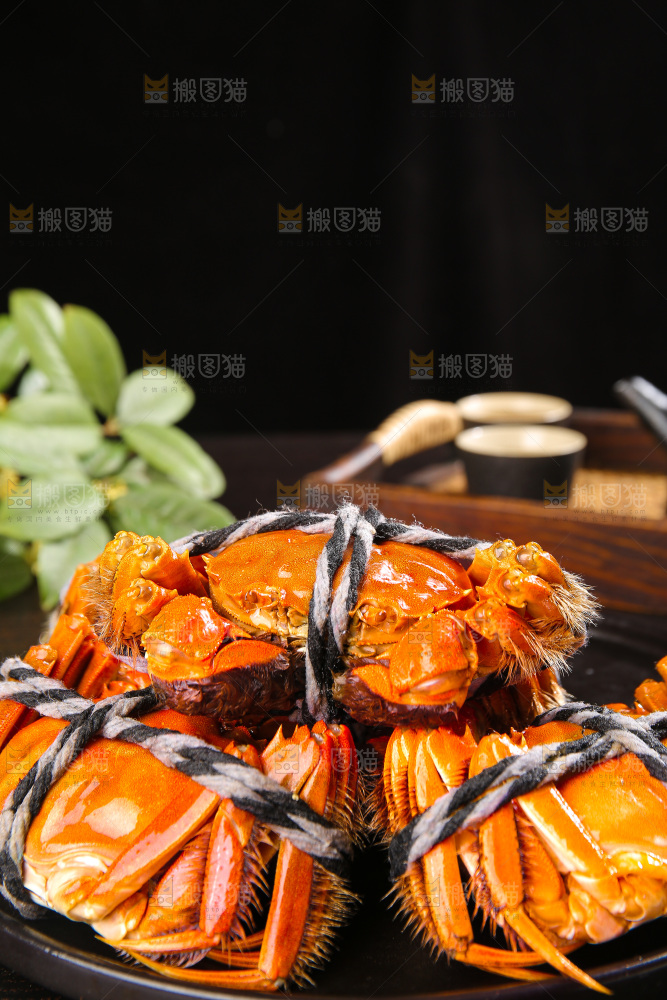 深底上的大闸蟹