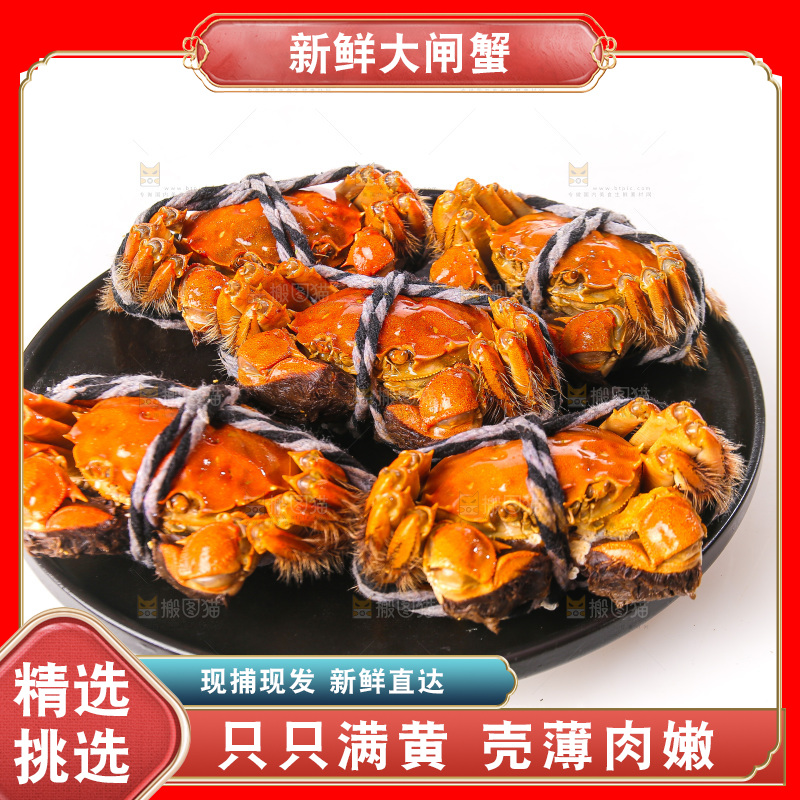 白底上的大闸蟹