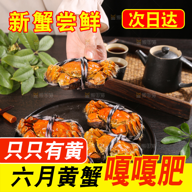 深底上的大闸蟹