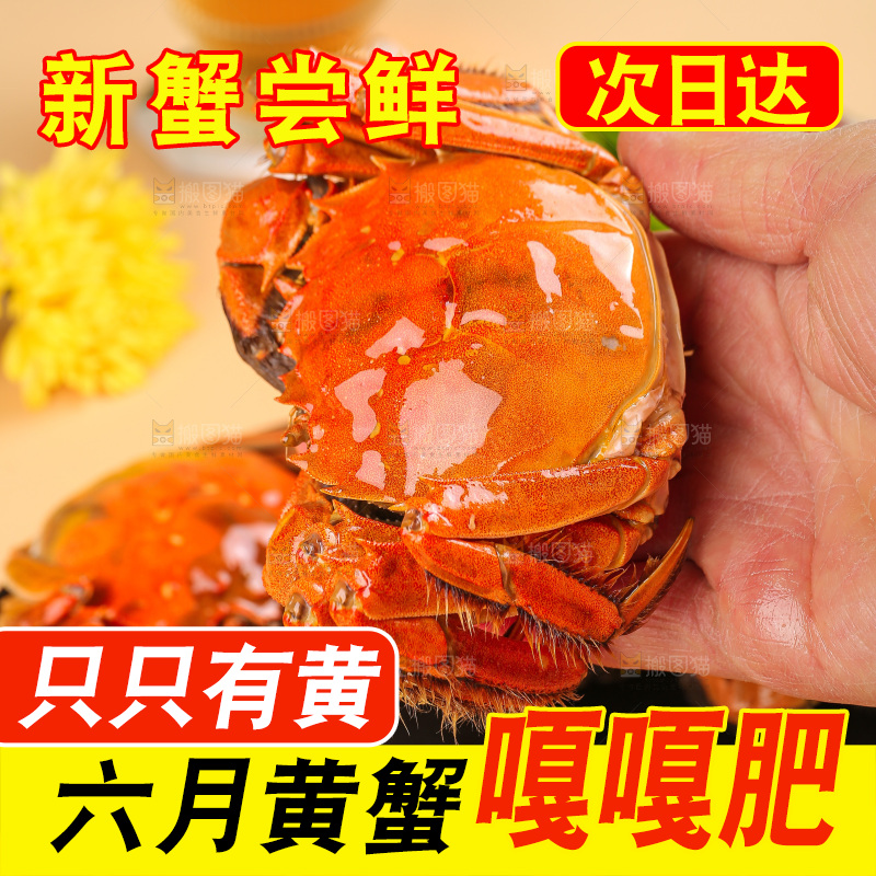 浅底上的大闸蟹