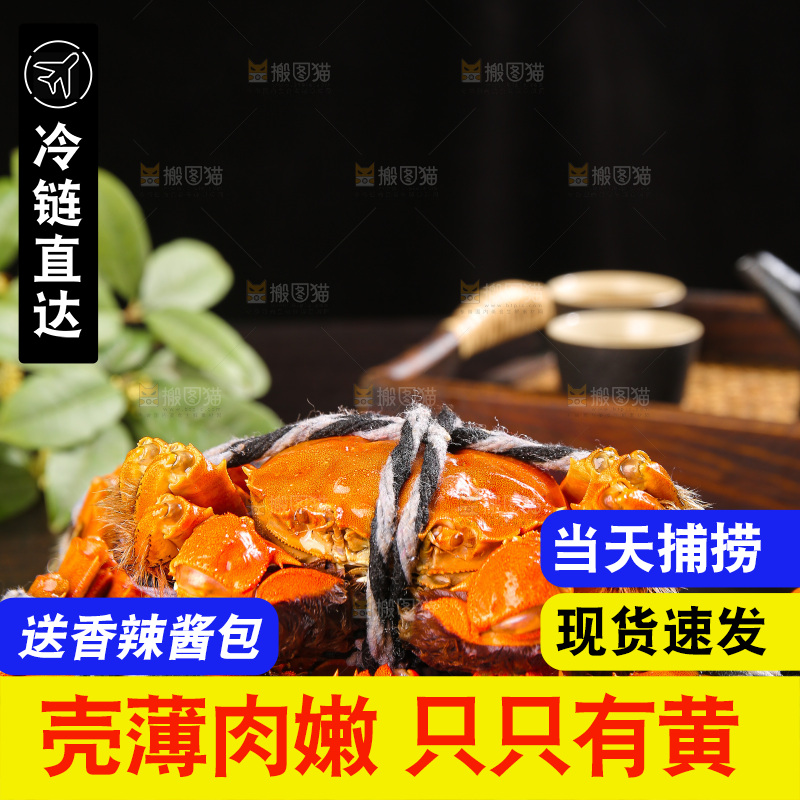 深底上的大闸蟹