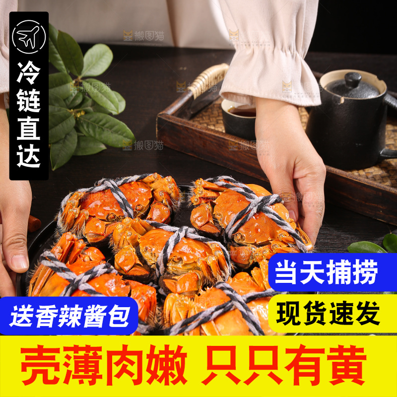深底上的大闸蟹