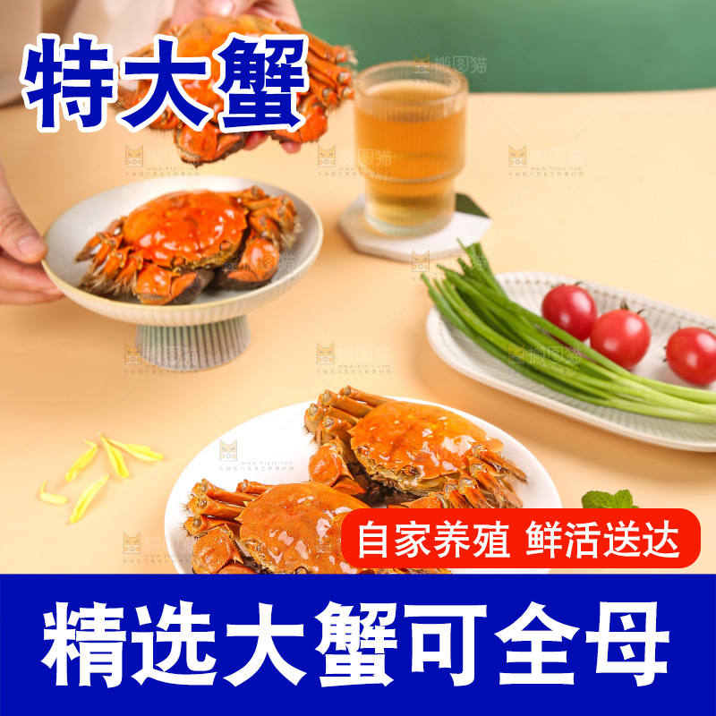 浅底上的大闸蟹