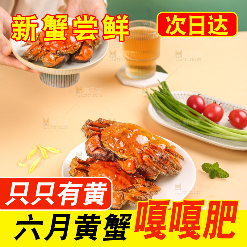 浅底上的大闸蟹