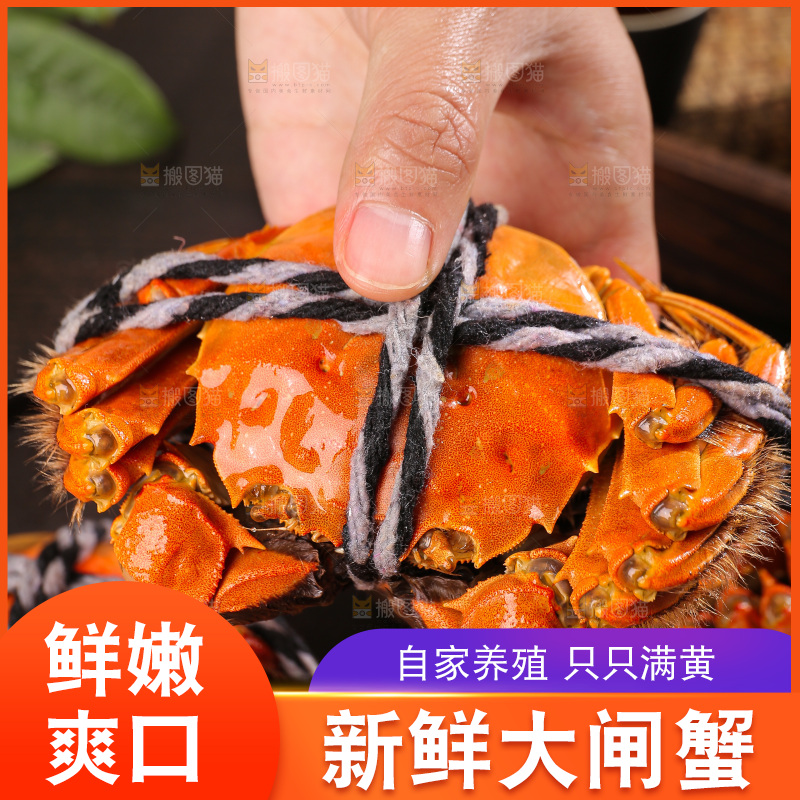 深底上的大闸蟹