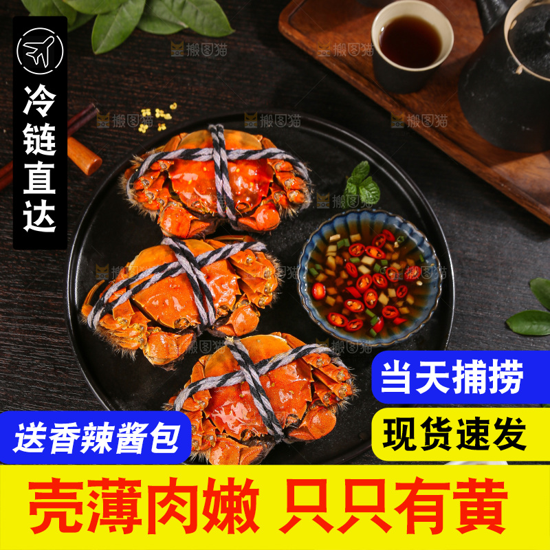深底上的大闸蟹